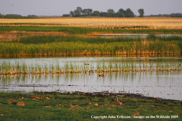 Wetlands on National Wildlife Refuge