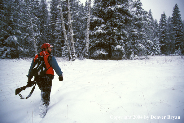 Big game hunter tracking game.
