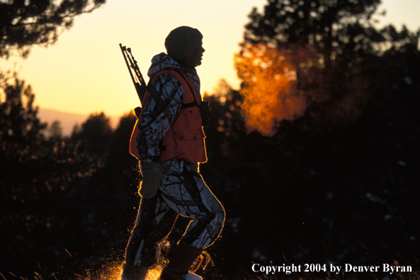 Big game hunter tracking game.