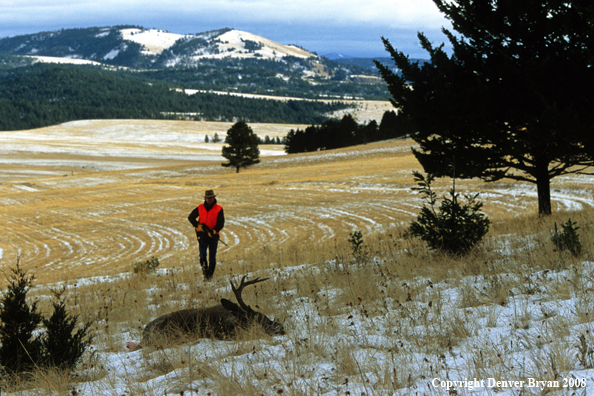 Hunter with Whitetail Deer