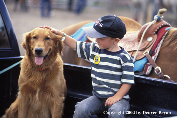 Golden Retriever with child