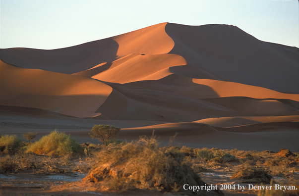 Sand dunes.  Sossusvlei park, Namibia.