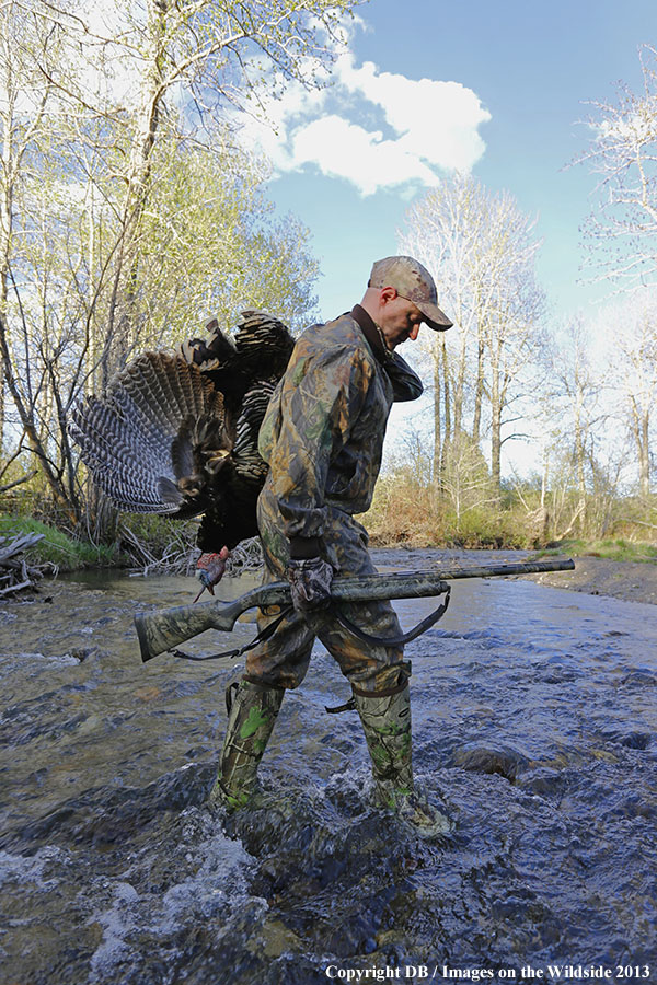 Turkey hunter in field with bagged turkey.