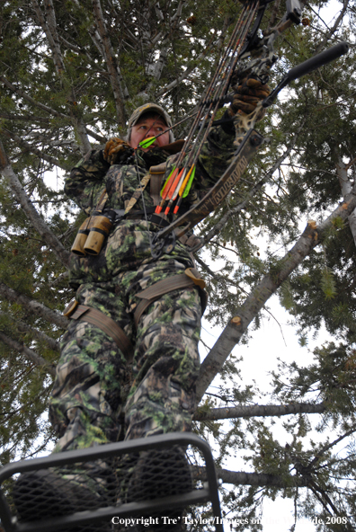 Bowhunter aiming from tree stand
