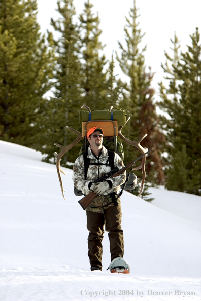 Big game hunter packing elk rack out on snowshoes.