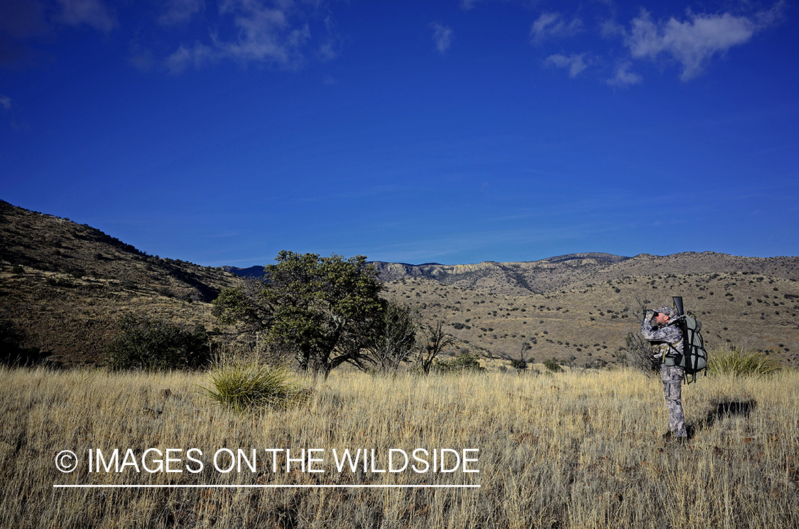 Hunter searching for Coues deer.