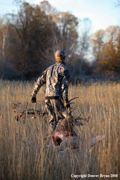 Bowhunter with Whitetail Deer