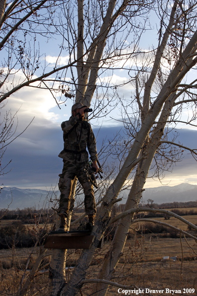 Bowhunter standing in tree stand.