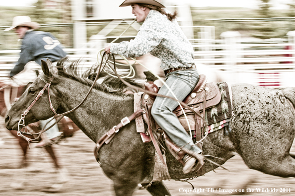 Team Ropers on the run