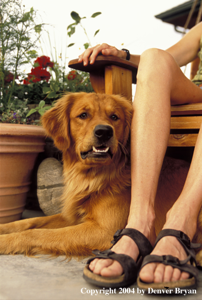 Woman with golden Retriever