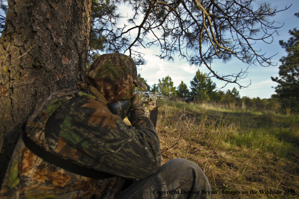 Hunter with (Merriam's) turkey in sights