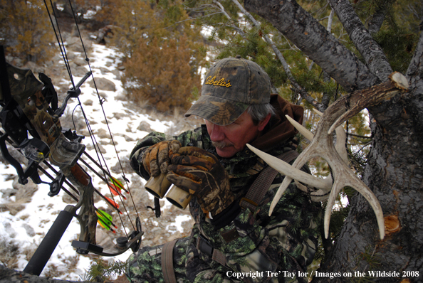 Bowhunter glassing from tree stand