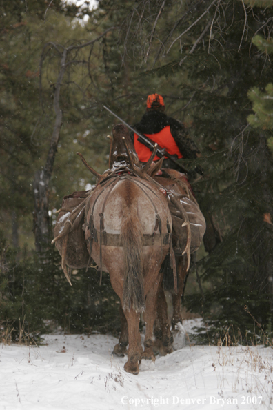 ELk hunter with pack string