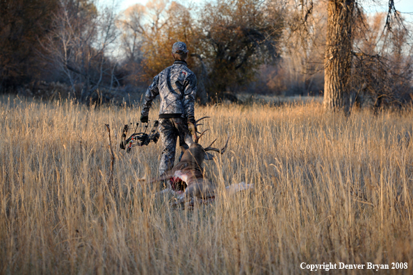 Bowhunter with Whitetail Deer