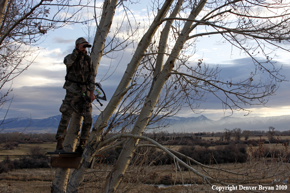 Bowhunter standing in tree stand.
