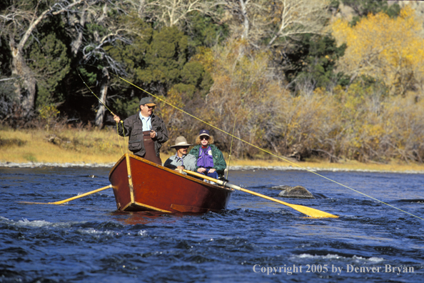 Fly fisherman, with fish on, in driftboat.