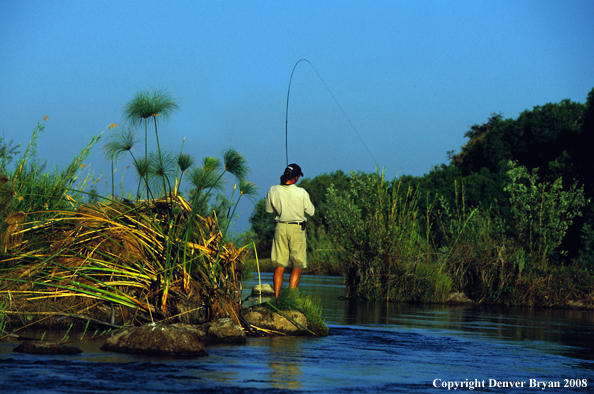 Flyfisherman fishing for Tigerfish