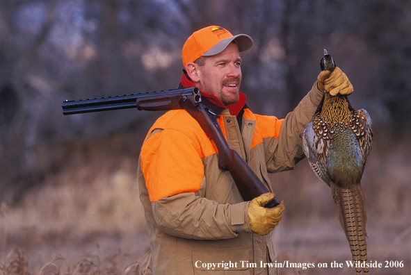 Upland game bird hunter with bagged pheasant.  