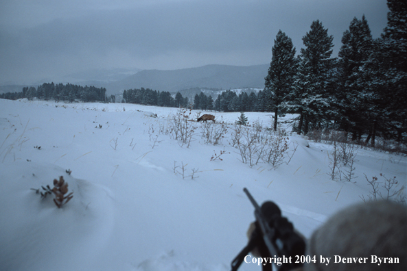 Big game hunter aiming/shooting.