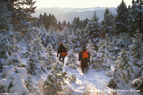 Big game hunters tracking game.