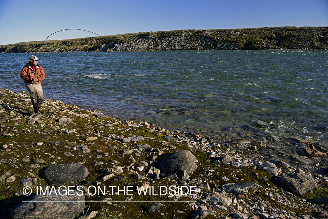 Flyfisherman fighting with Arctic Char.