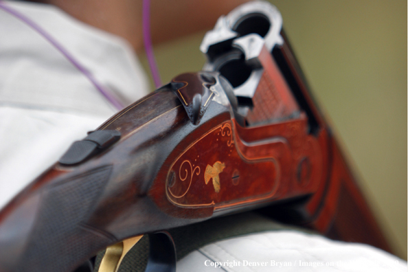 Quail Hunting shotgun