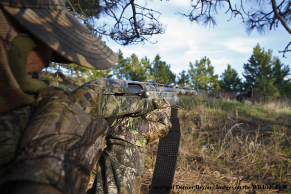 Hunter with (Merriam's) turkey in sights