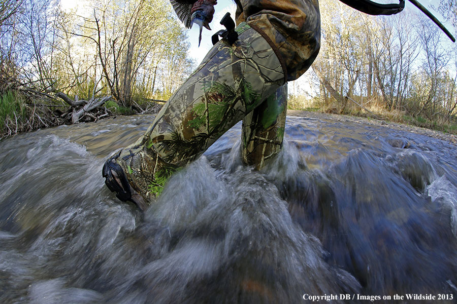 Turkey hunter in field with bagged turkey.