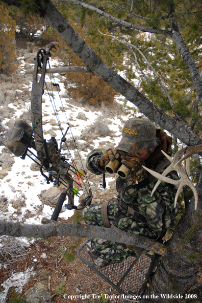 Bowhunter glassing from tree stand