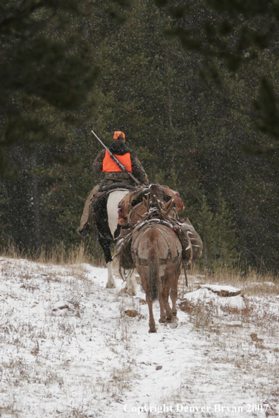 ELk hunter with pack string