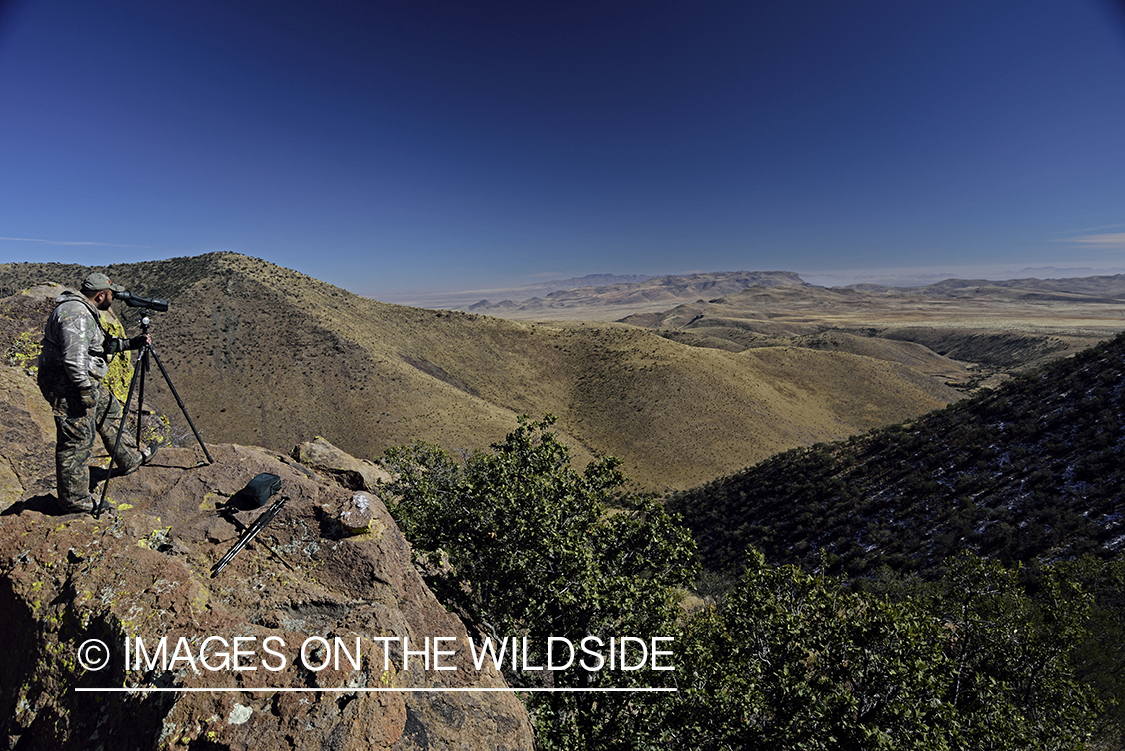 Hunter searching for Coues deer.