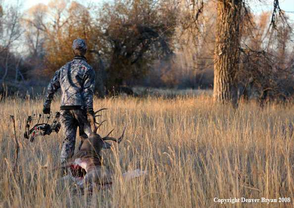 Bowhunter with Whitetail Deer