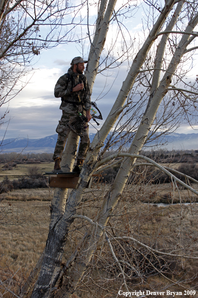 Bowhunter standing in tree stand.