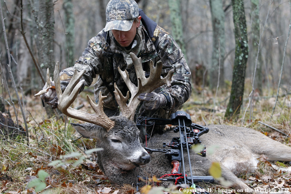 Bowhunter with bagged buck. 