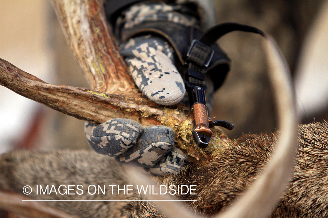 Bowhunter wearing trigger release holding bagged white-tailed buck antlers.
