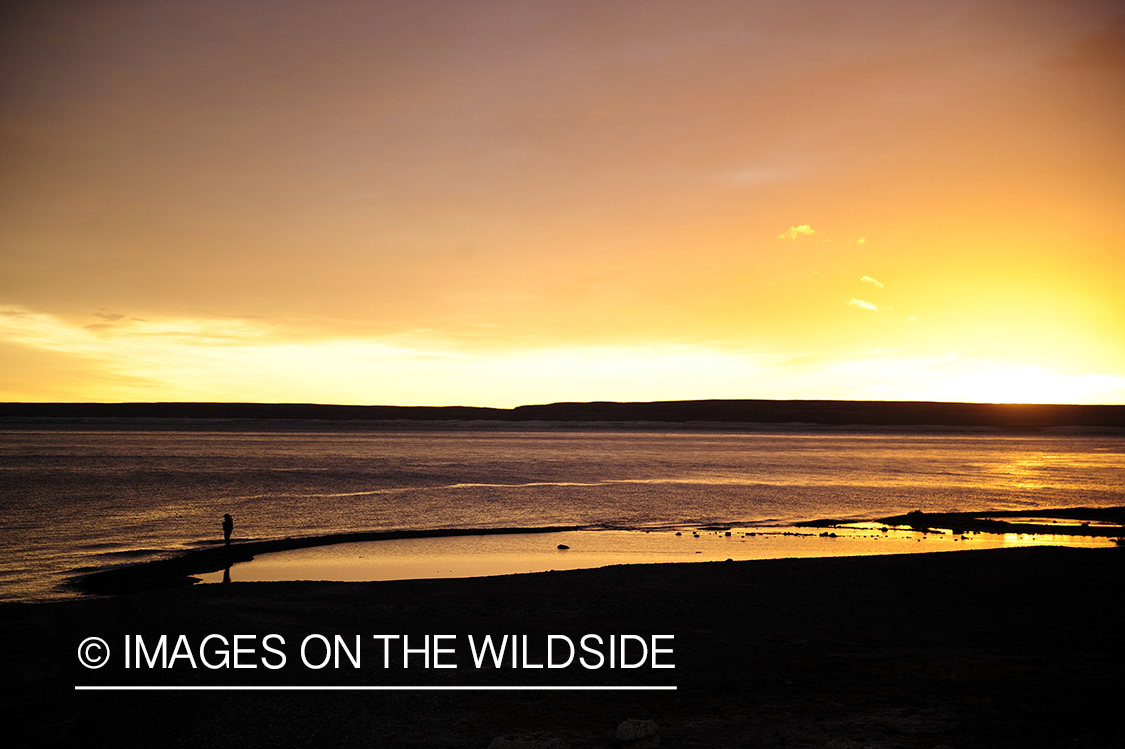 Sunset on Jurassic Lake, Argentina.