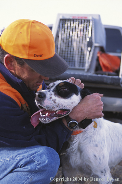 Upland bird hunter with English Setter.