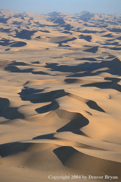 Sand dunes.