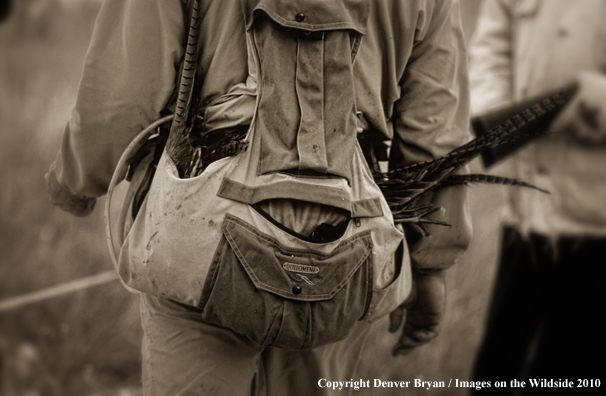 Upland bird hunter's pack (Original image #11002-122.20)