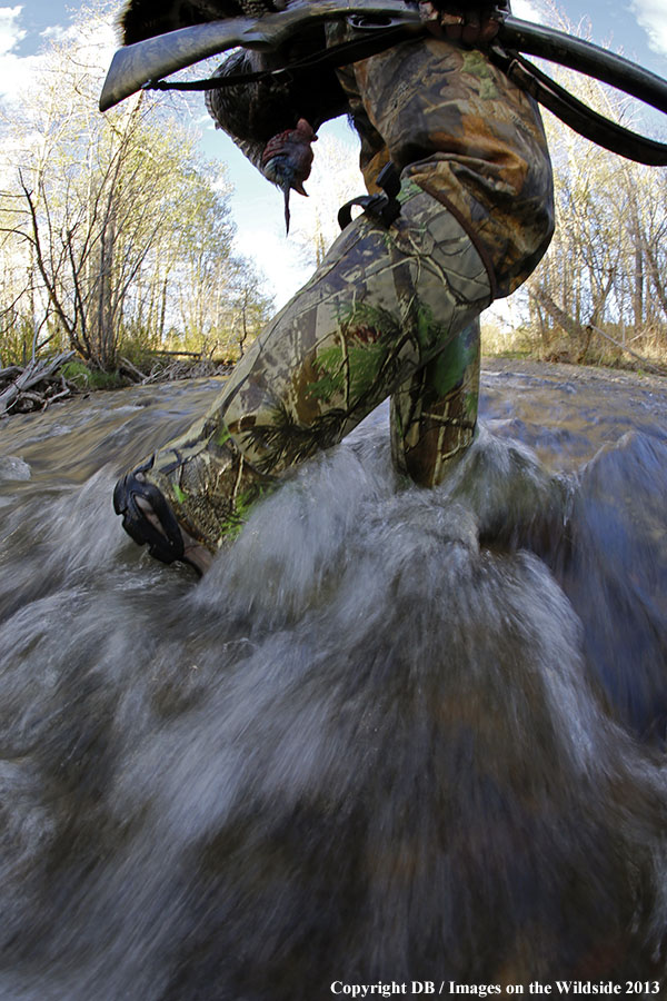 Turkey hunter in field with bagged turkey.