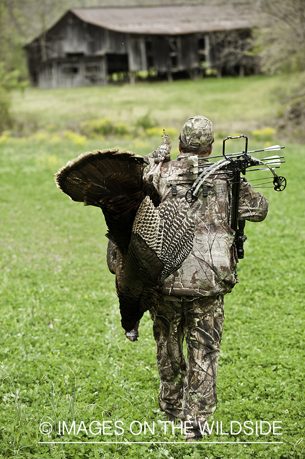 Crossbow hunter with bagged turkey. 