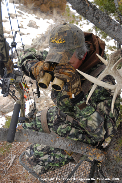 Bowhunter glassing from tree stand