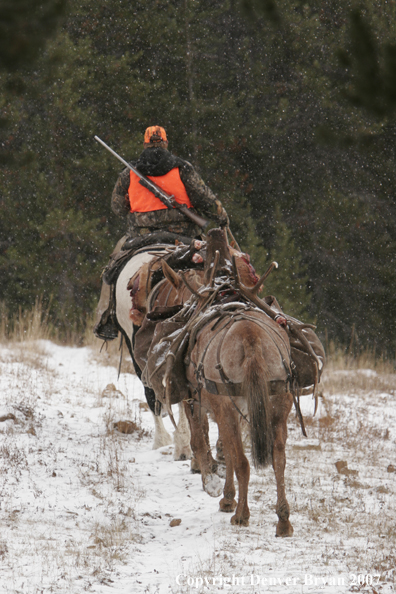 ELk hunter with pack string
