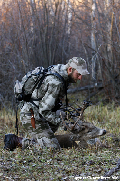 Bowhunter with bagged whitetail buck.