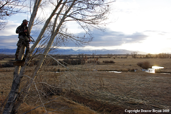 Bowhunter standing in tree stand.