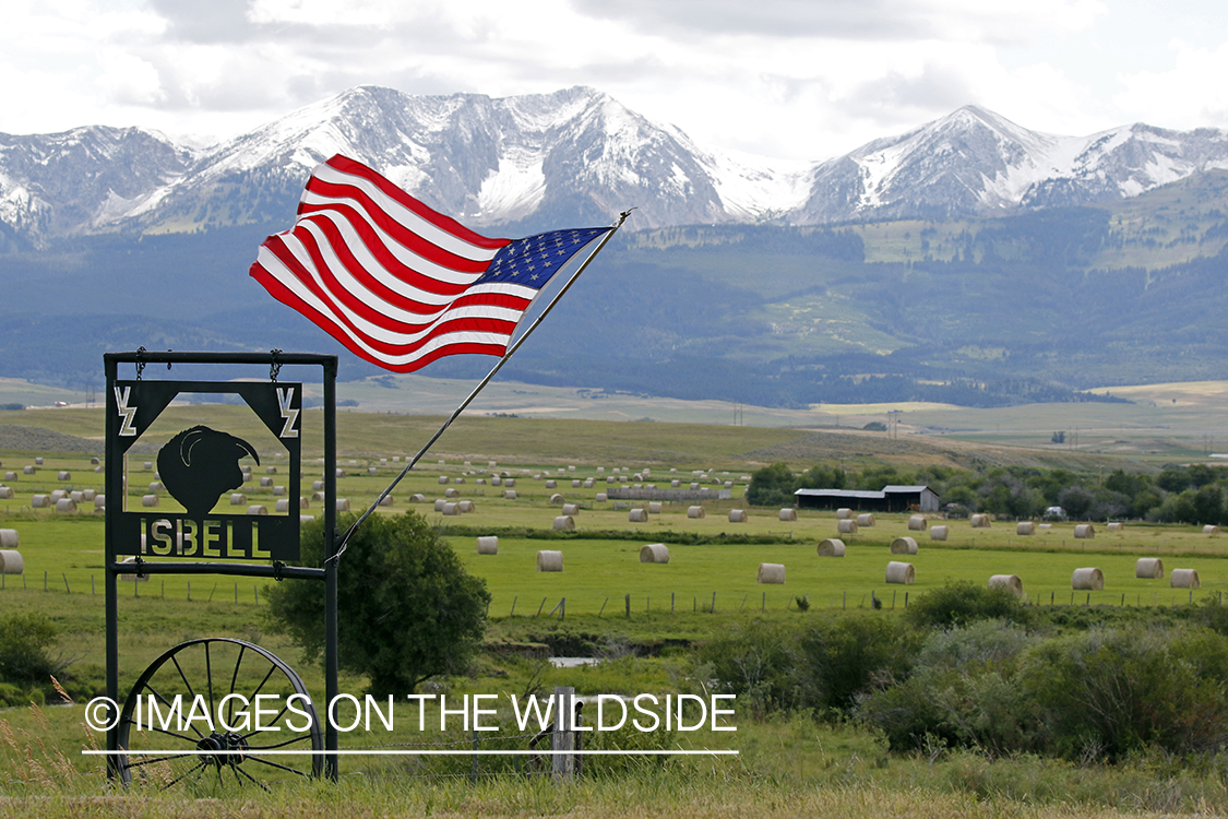 Ranch entrance with American flag.