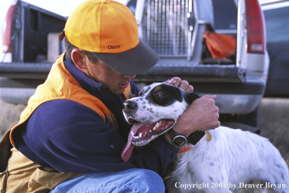 Upland bird hunter with English Setter.