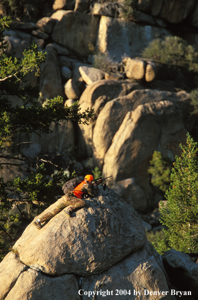 Big game hunter aiming/shooting.