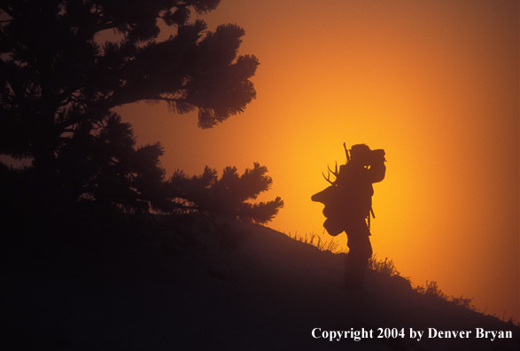 Big game hunter glassing/packing out his kill.