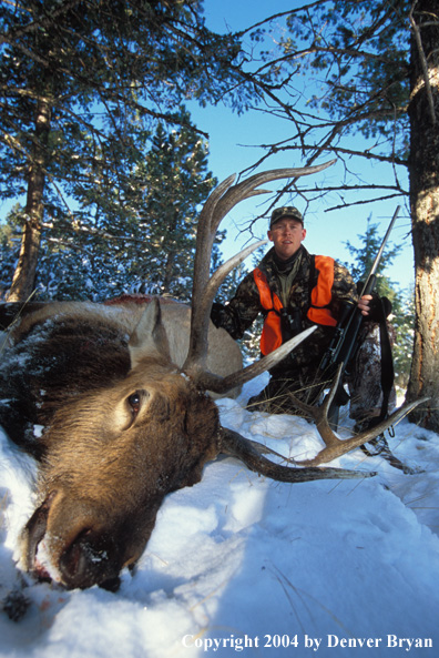 Big game hunter with bagged elk.